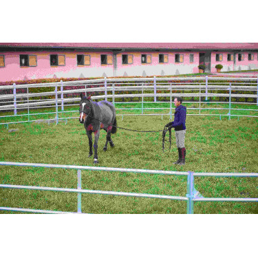 PANNELLI ZINCATI - L 2,40 m - H 1,60 m