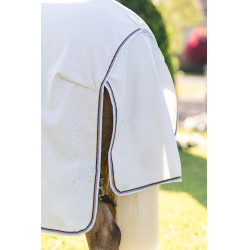 Coperta anti-dermatite Horseware Amigo Ripstop Pony Argento / limone / Marino / rosa / blu