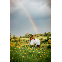 Coperta anti-mosche Horseware Newmarket Carbone di legna Witney Grigio