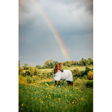 Coperta anti-mosche Horseware Newmarket Carbone di legna Witney Grigio