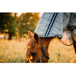 Coperta anti-mosche Horseware Newmarket Plus Marine witney Blu marino Coperta anti-mosche Horseware Newmarket Plus Marine witney Blu marino