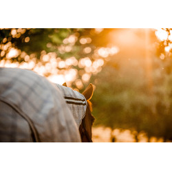 Coperta anti-mosche Horseware Newmarket Plus Marine witney Blu marino Coperta anti-mosche Horseware Newmarket Plus Marine witney Blu marino