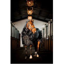 Coperta da scuderia Horseware Easy-Layer Plus 400g Nero / nero / argento Coperta da scuderia Horseware Easy-Layer Plus 400g Nero / nero / argento