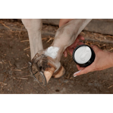 Crema anti rogna da fango Plus Grooming Deluxe Crema anti rogna da fango Plus Grooming Deluxe