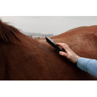 Curry comb in acciaio Grooming Deluxe Nero Curry comb in acciaio Grooming Deluxe Nero