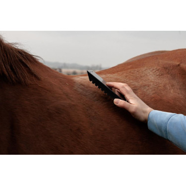 Curry comb in acciaio Grooming Deluxe Curry comb in acciaio Grooming Deluxe