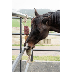 Giocattolo in legno rilassante Grooming Deluxe Giocattolo in legno rilassante Grooming Deluxe