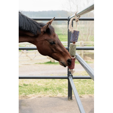 Giocattolo in legno rilassante Grooming Deluxe Giocattolo in legno rilassante Grooming Deluxe