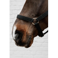 Capestro in nylon Kentucky Nero Capestro in nylon Kentucky Nero