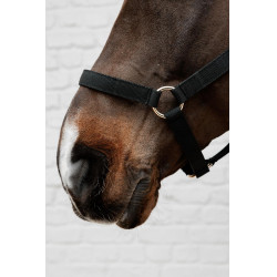 Capestro in nylon Kentucky Nero Capestro in nylon Kentucky Nero