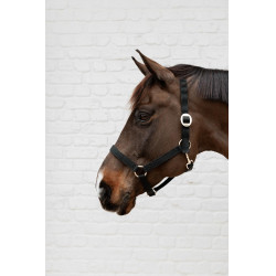 Capestro in nylon Kentucky Nero Capestro in nylon Kentucky Nero