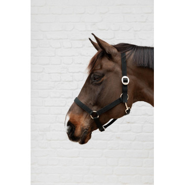 Capestro in nylon Kentucky Capestro in nylon Kentucky