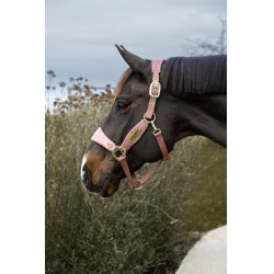 Capestro Velvet Unicorno glitterato Kentucky Rosa antico Capestro Velvet Unicorno glitterato Kentucky Rosa antico