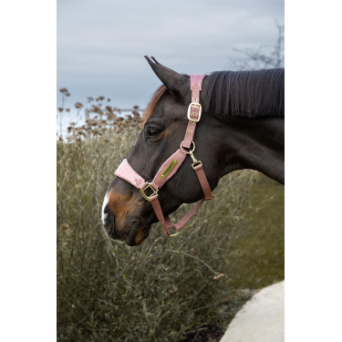 Capestro Velvet Unicorno glitterato Kentucky Capestro Velvet Unicorno glitterato Kentucky
