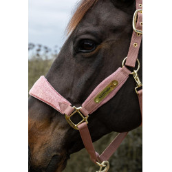 Capestro Velvet Unicorno glitterato Kentucky Rosa antico Capestro Velvet Unicorno glitterato Kentucky Rosa antico