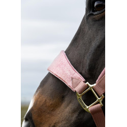 Capestro Velvet Unicorno glitterato Kentucky Rosa antico Capestro Velvet Unicorno glitterato Kentucky Rosa antico