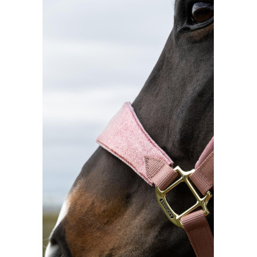 Capestro Velvet Unicorno glitterato Kentucky Capestro Velvet Unicorno glitterato Kentucky