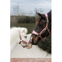 Capestro Velvet Unicorno glitterato Kentucky Rosa antico