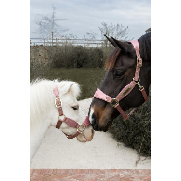 Capestro Velvet Unicorno glitterato Kentucky Rosa antico Capestro Velvet Unicorno glitterato Kentucky Rosa antico