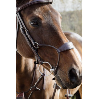 Capezzina Ibrida Dy'on Collezione New English Marrone