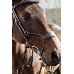 Capezzina Ibrida Dy'on Collezione New English Marrone