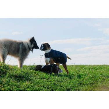 Coperta per cane Equithème TYREX 600D Coperta per cane Equithème TYREX 600D