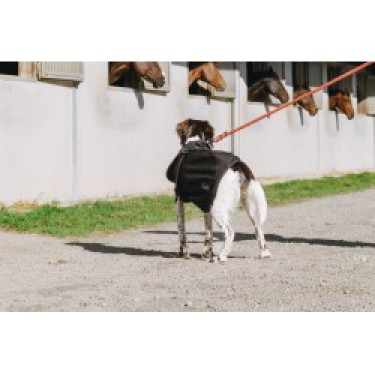 Coperta per cane Equithème Softshell Coperta per cane Equithème Softshell