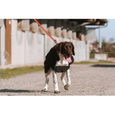 Coperta per cane Equithème Softshell Coperta per cane Equithème Softshell