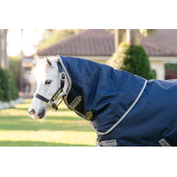 Coperta Horseware Amigo 1200D Plus Pony Turnout 0g Marino / grigio titanio / argento Blu marino Coperta Horseware Amigo 1200D Plus Pony Turnout 0g Marino / grigio titanio / argento Blu marino