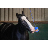 Leccornie Likit Granola Light Leccornie Likit Granola Light
