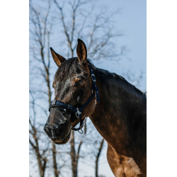 Protezione naso anti UV Equithème