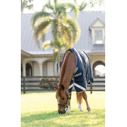 Coperta Horseware Amigo 1200D Turnout 0g Marino / grigio titanio / argento Blu marino Coperta Horseware Amigo 1200D Turnout 0g Marino / grigio titanio / argento Blu marino
