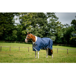 Coperta Horseware Amigo 1200D Turnout 100g Marino / grigio titanio / argento Blu marino Coperta Horseware Amigo 1200D Turnout 100g Marino / grigio titanio / argento Blu marino