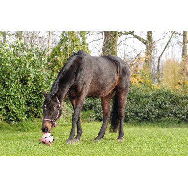 Pallone da gioco HKM cavalli Fun Pallone da gioco HKM cavalli Fun