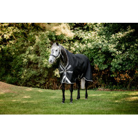 Coperta Horseware Amigo 1200D Wug Turnout 50g Marino / grigio titanio / argento Blu marino