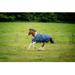 Coperta Horseware Amigo 1200D XL Turnout 150g Marino / grigio titanio / argento Blu marino Coperta Horseware Amigo 1200D XL Turnout 150g Marino / grigio titanio / argento Blu marino