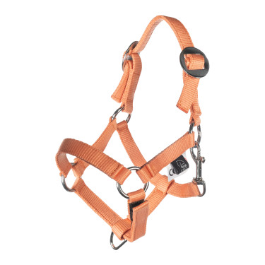 Capezza e lunghina HKM Hobby Horsing Basic Capezza e lunghina HKM Hobby Horsing Basic