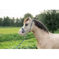 Capezza HKM Barnie Blu fumo / rosa