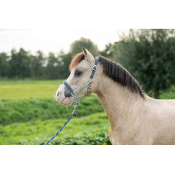 Capezza HKM Barnie Verde chiaro / verde scuro