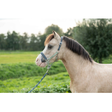 Capezza HKM Barnie Verde chiaro / verde scuro