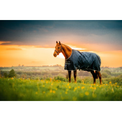 Coperta Horseware Amigo Ripstop 900D Pony Turnout 100g Marine witney Blu marino