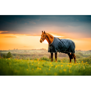 Coperta Horseware Amigo Ripstop 900D Pony Turnout 200g Marine witney Blu marino