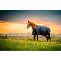 Coperta Horseware Amigo Ripstop 900D Pony Turnout 50g Marine witney Blu marino