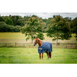 Coperta Horseware Amigo Ripstop 900D Turnout 100g Marine / grigio titanio Blu marino Coperta Horseware Amigo Ripstop 900D Turnout 100g Marine / grigio titanio Blu marino