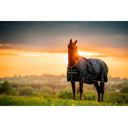 Coperta Horseware Amigo Ripstop 900D Turnout 200g Marine witney Blu marino