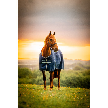 Coperta Horseware Amigo Ripstop 900D Turnout 200g Marine witney Blu marino