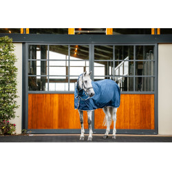 Coperta Horseware Ionic Therapy Mesh Cooler Bleu imperial / argent /Marine Blu Coperta Horseware Ionic Therapy Mesh Cooler Bleu imperial / argent /Marine Blu