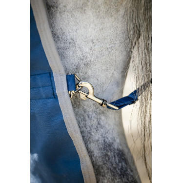 Coperta Horseware Ionic Therapy Turnout 100g Coperta Horseware Ionic Therapy Turnout 100g