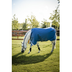 Coperta Horseware Ionic Therapy Turnout 100g Bleu imperial / argent /Marine Blu Coperta Horseware Ionic Therapy Turnout 100g Bleu imperial / argent /Marine Blu