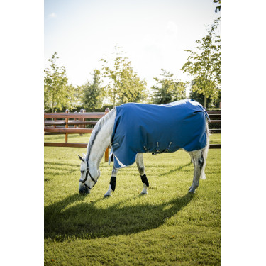 Coperta Horseware Ionic Therapy Turnout 100g Coperta Horseware Ionic Therapy Turnout 100g
